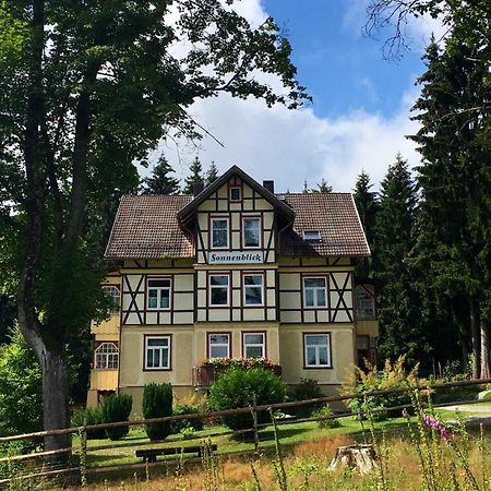 Haus Sonnenblick Leilighet Benneckenstein Eksteriør bilde