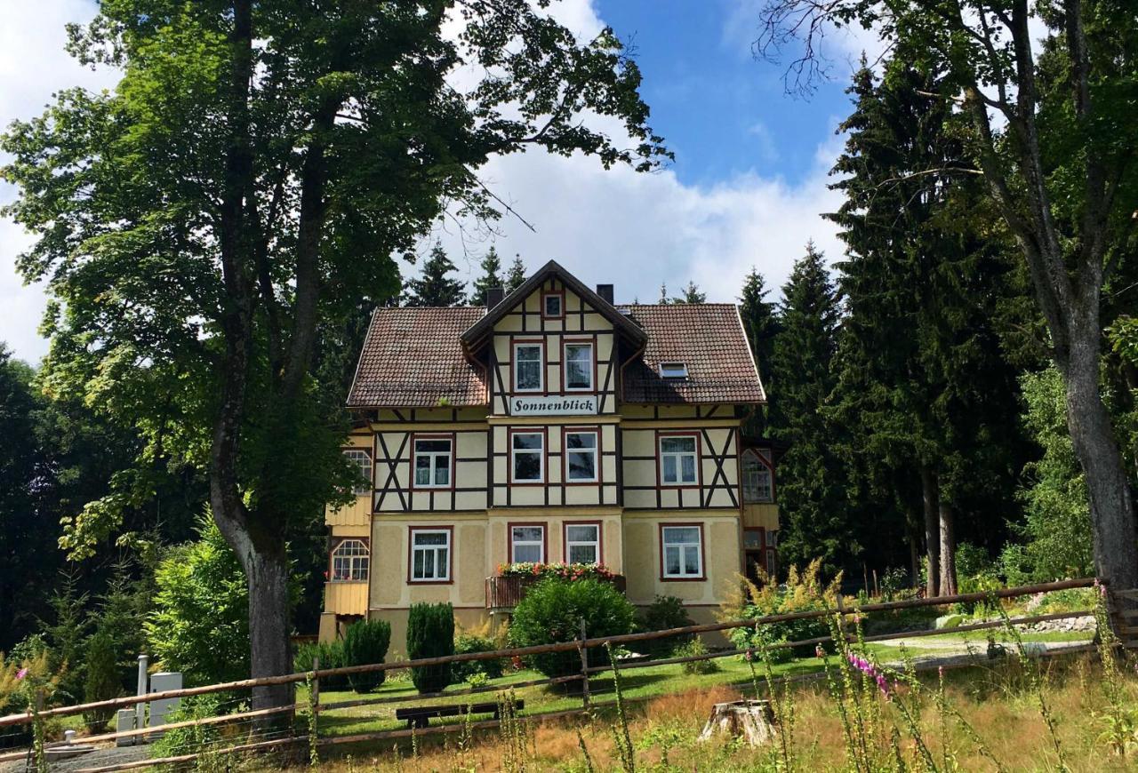 Haus Sonnenblick Leilighet Benneckenstein Eksteriør bilde
