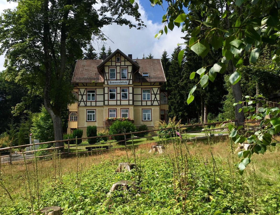 Haus Sonnenblick Leilighet Benneckenstein Eksteriør bilde