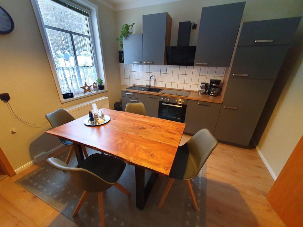 Haus Sonnenblick Leilighet Benneckenstein Eksteriør bilde